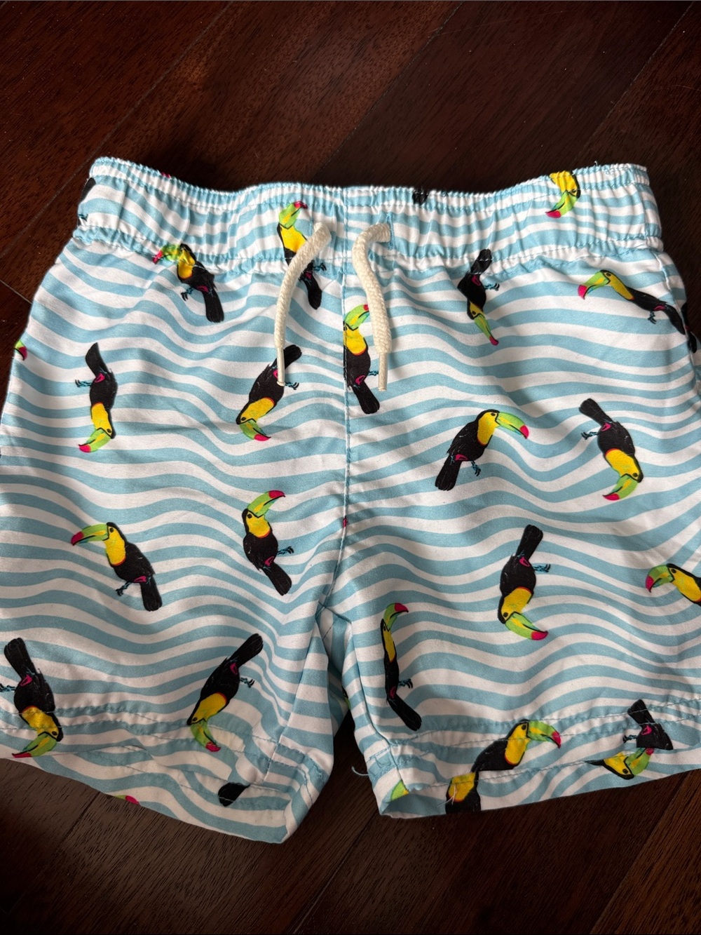 Appaman Blue Stripe Toucan Swim Shorts